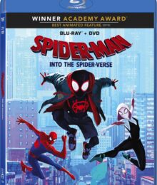 Spider-Man: Into the Spider-Verse (2018) Dual Audio {Hindi-English} 1080p 10Bit || 2160p 4k HEVC Bluray Esubs