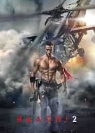 Baaghi 2 (2018) Hindi Movie Bluray 480p [470MB] || || 720p [1.2GB] || 1080p [2.5GB]