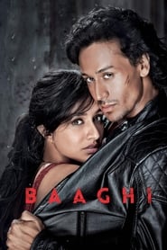 Baaghi (2016) Hindi Movie Bluray || 720p [1.9GB] || 1080p [2.2GB]